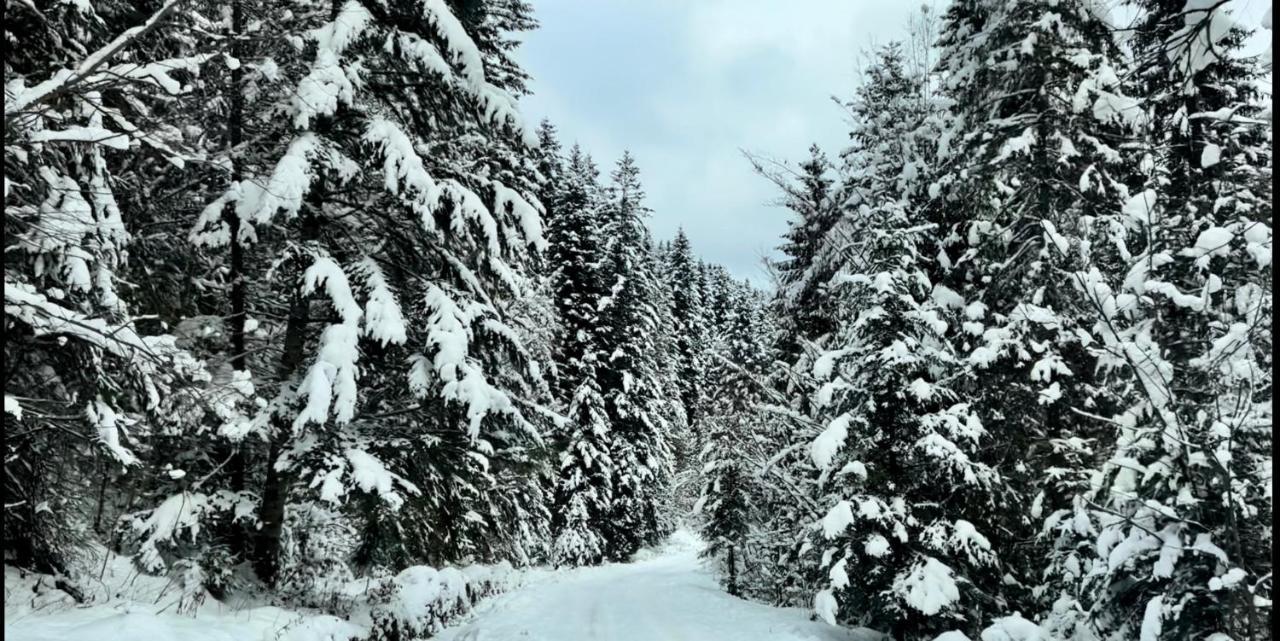 Private House Scherbovets ชเดนิเยโว ภายนอก รูปภาพ